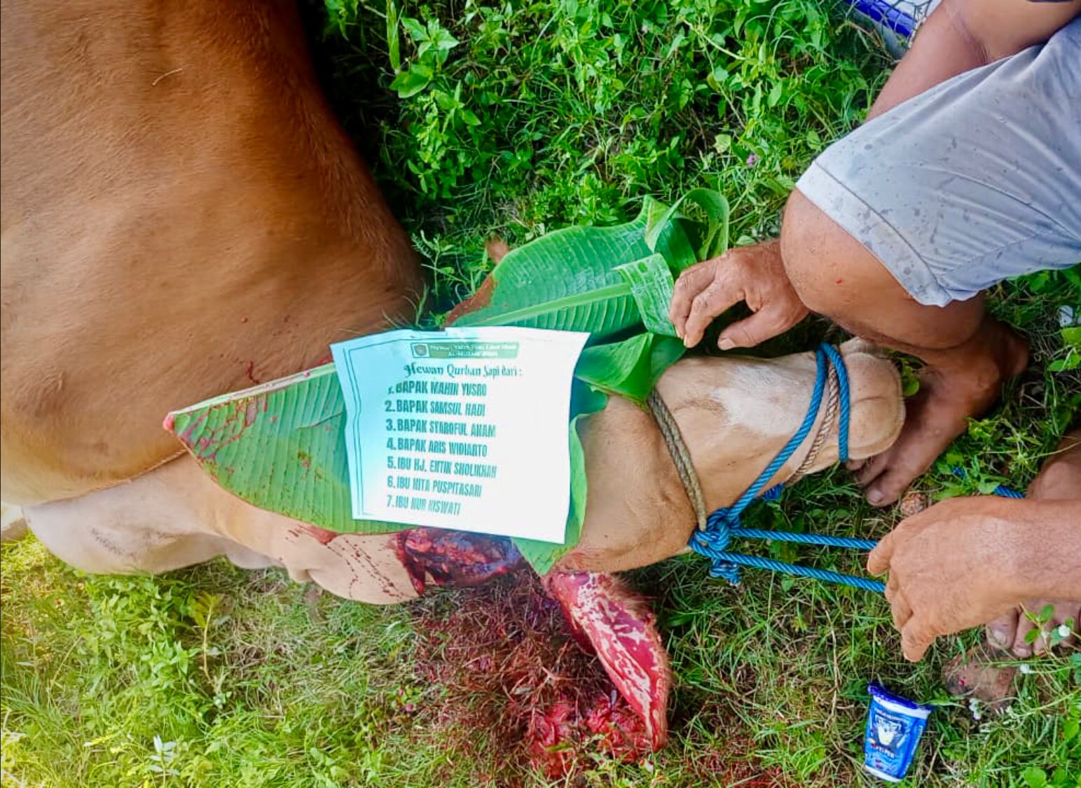 Qurban 2025